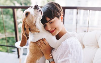 Razones para amar más a tú mascota