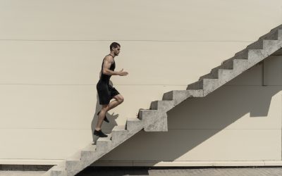 La Importancia de la Constancia en el Trabajo